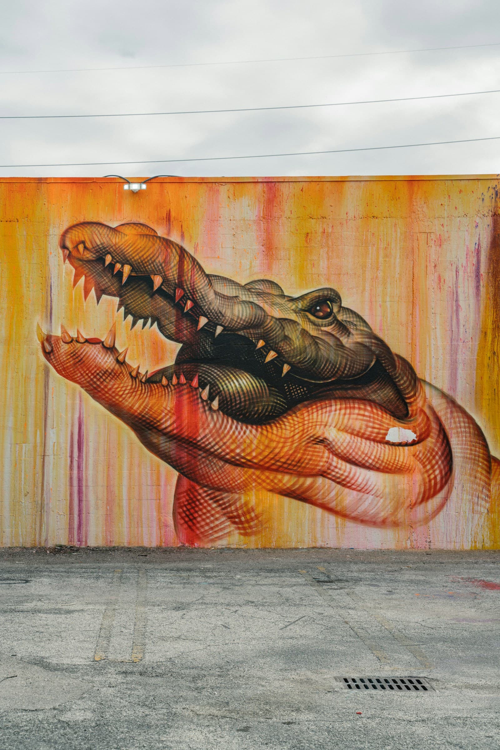 Human face mural on wood wall, Wynwood